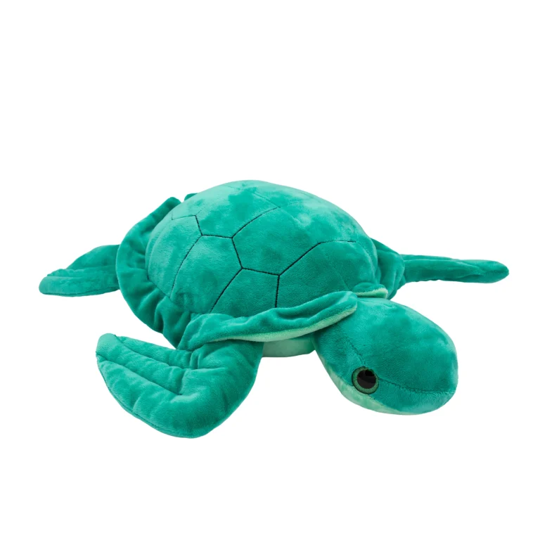 Seaweed the Turtle - Eco